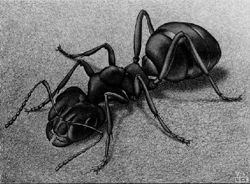 Ant 1943 Lithograph (498x366, 57Kb)