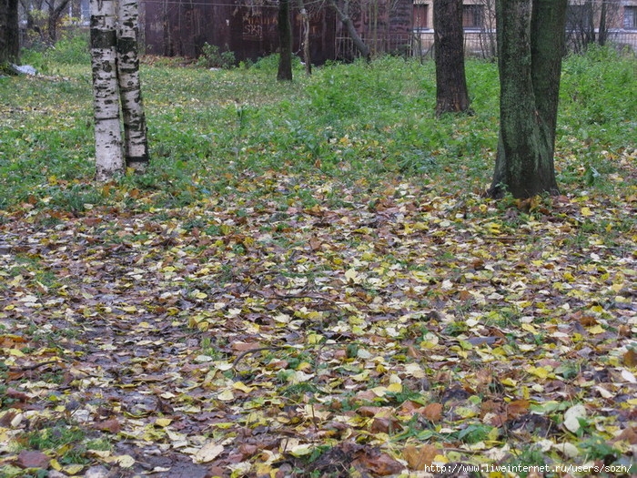  (700x525, 197Kb)