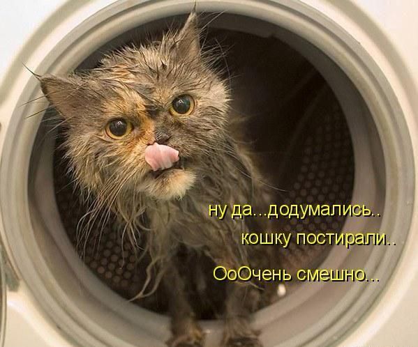  (599x498, 53Kb)