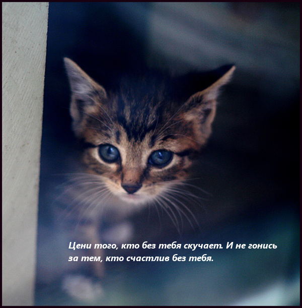  (600x611, 377Kb)