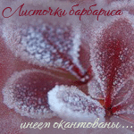  (150x150, 22Kb)