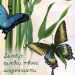  (150x150, 19Kb)