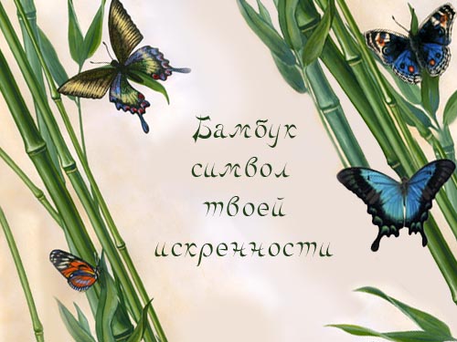  (500x375, 75Kb)