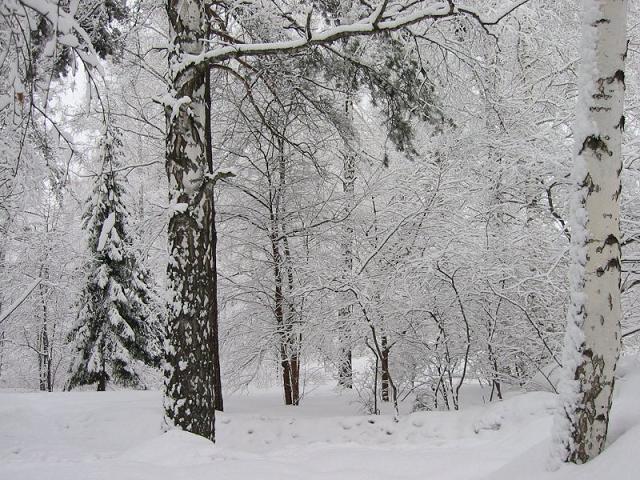  (640x480, 87Kb)