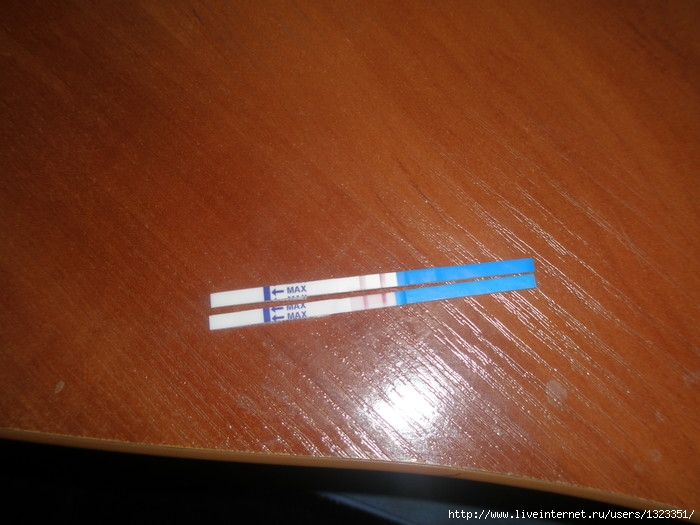  (700x525, 85Kb)