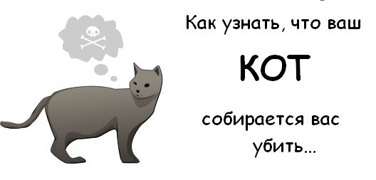 cat_01 (528x253, 13Kb)