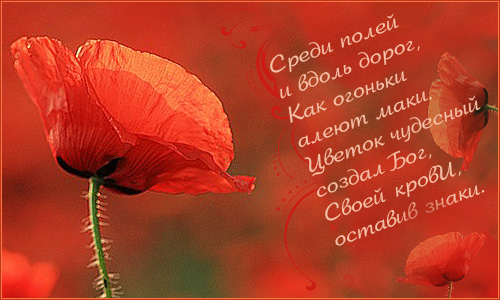  (500x300, 97Kb)