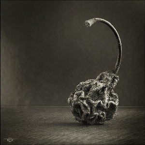  (300x300, 28Kb)