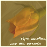  (150x150, 14Kb)