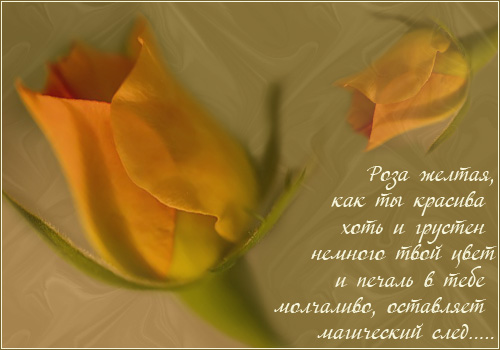  (500x350, 77Kb)