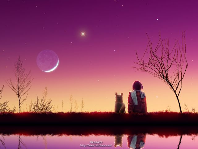  (640x480, 32Kb)