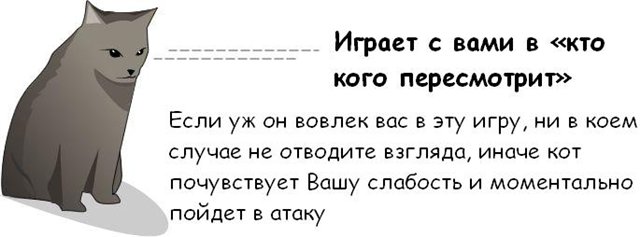  (640x237, 29Kb)