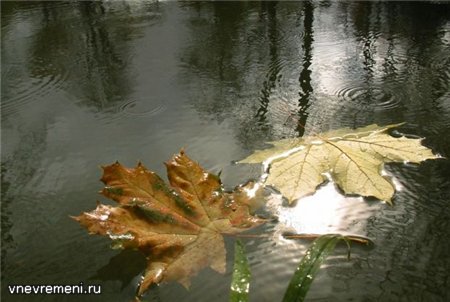  (450x302, 33Kb)