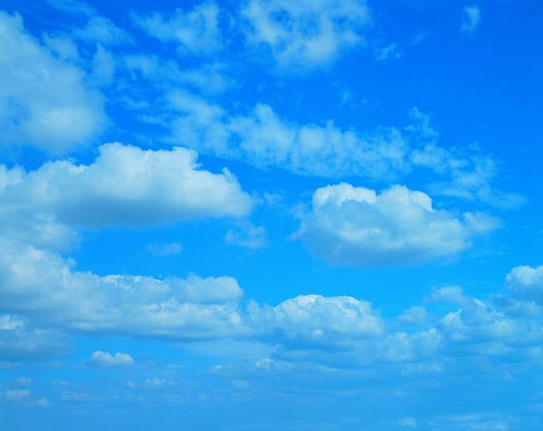  (600x477, 29Kb)
