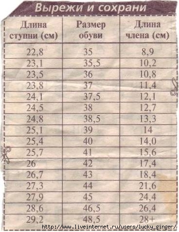 17861-121302-0c9762f4dcd9f0b71e3bb01318f0184c (368x478, 37Kb)