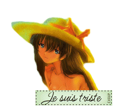 (240x210, 13Kb)