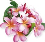  tropical_flower_demo (148x140, 5Kb)