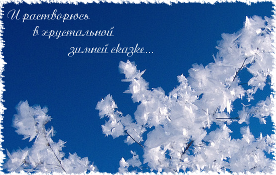  (550x350, 348Kb)