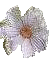  (50x62, 3Kb)