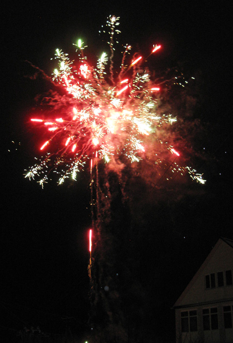 IMG_2372 (476x700, 137Kb)