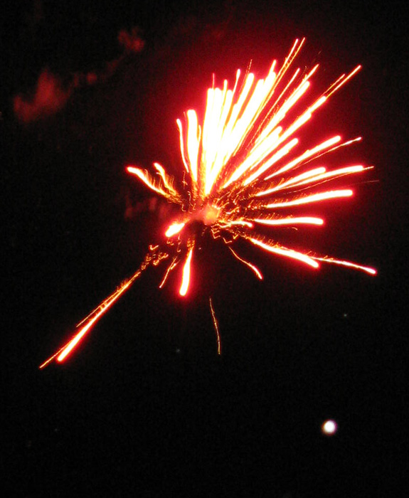IMG_2420 (575x700, 140Kb)