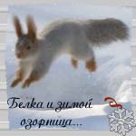  (150x150, 29Kb)