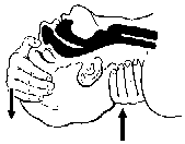  (169x132, 1Kb)