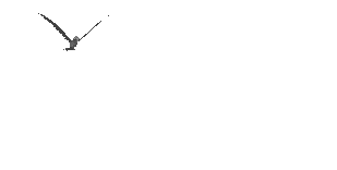  (309x156, 49Kb)