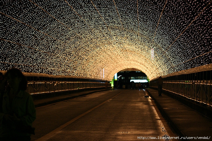 IMG_9271 (699x466, 281Kb)