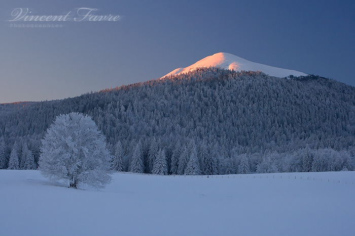 22_01_2009_0169655001232648303_vincent_favre (700x467, 119Kb)