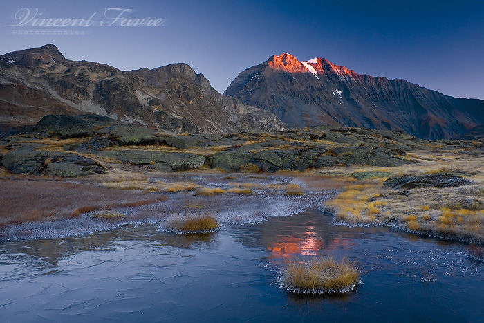 22_01_2009_0184059001232648303_vincent_favre (700x467, 178Kb)