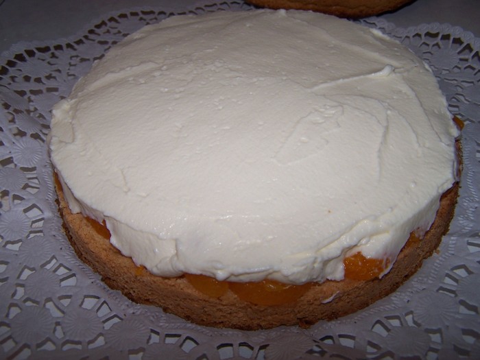 Торт иней рецепт с фото пошагово в домашних