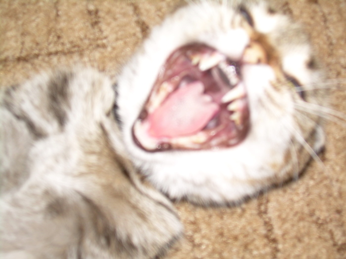  (700x525, 109Kb)
