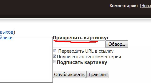 Url изображение что это