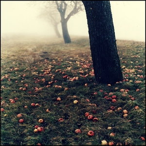  (300x300, 87Kb)