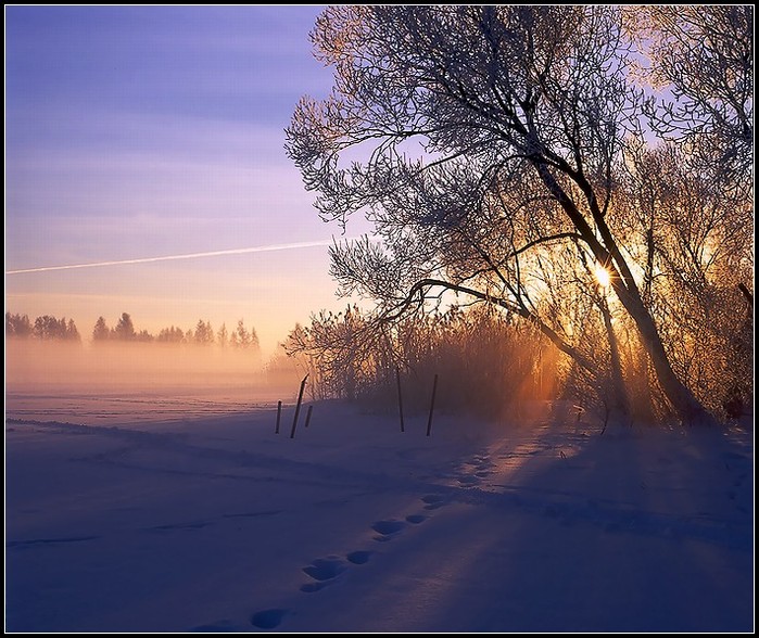  (699x588, 137Kb)