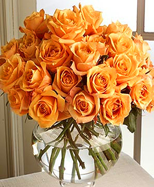 25orangeroses (500x607, 96Kb)