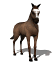 ani-horse_bigtall (110x130, 9Kb)