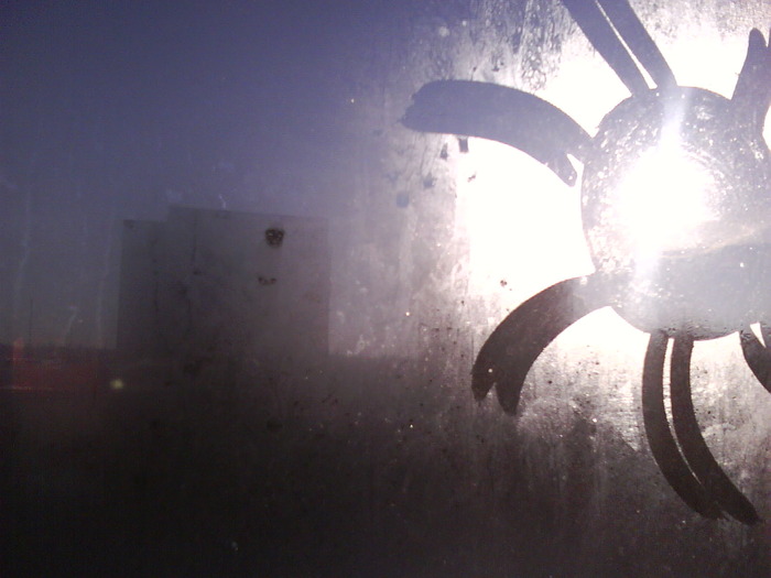 DSC01346 (700x525, 71Kb)