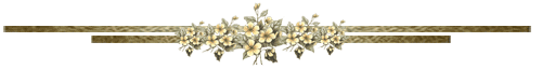  (500x65, 6Kb)
