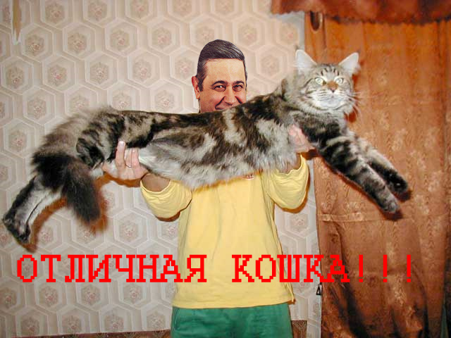  (640x480, 149Kb)