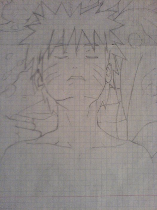 DSC01623 (525x700, 50Kb)
