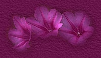  (198x114, 11Kb)