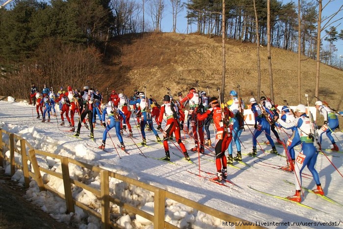 Чемпионат мира по биатлону 2009