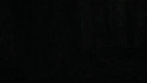  (300x169, 1126Kb)