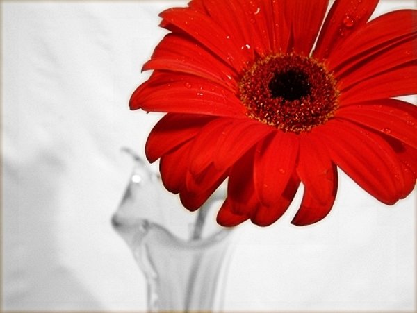  (600x451, 38Kb)