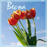 http://img1.liveinternet.ru/images/attach/c/0/40/487/40487902_1236085836_tulips_5.jpg