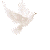  (50x50, 0Kb)