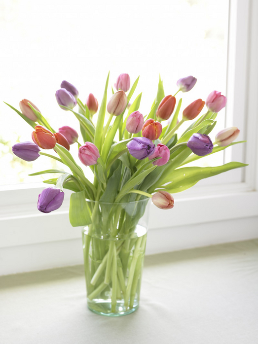 6767235_6138942_TULIPS (523x698, 216Kb)