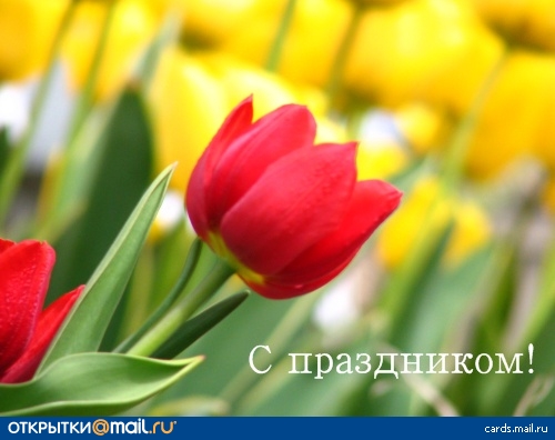 http://img1.liveinternet.ru/images/attach/c/0/40/695/40695575_9b876425be60a5b9092b7221874afba8.jpg